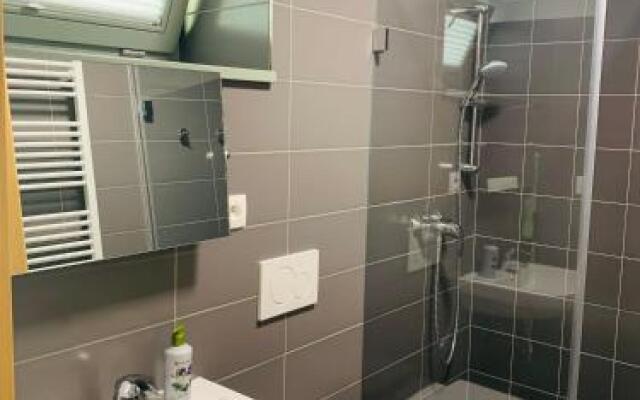 Apartmán U Venuše