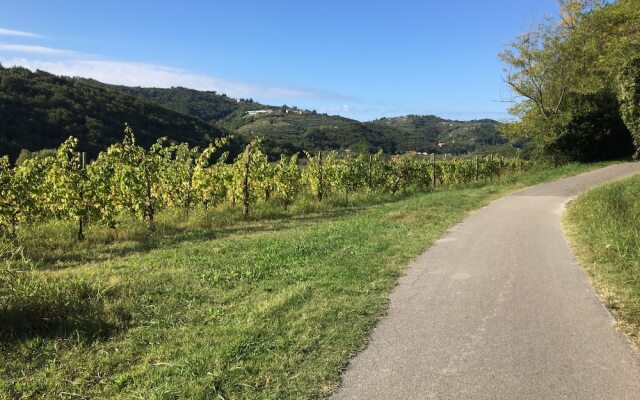 Apartment Fontana_next to Beach & Free Parking