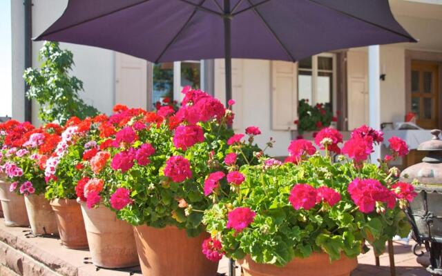Hotel-Restaurant Hirsch