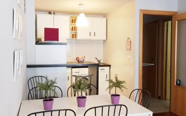 Vivienda Turistica Pirineos XXI