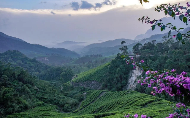 Pavithra Riverview Homestay