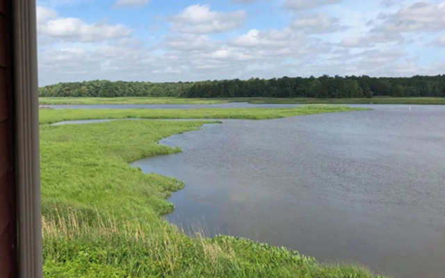 Surry Seafood Company