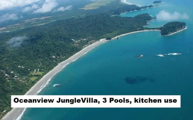 Jungle Villa