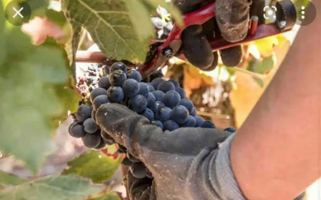 Villa ALISA Meublé de tourisme classé