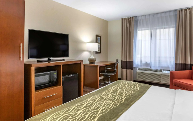 Comfort Inn Okemos - East Lansing