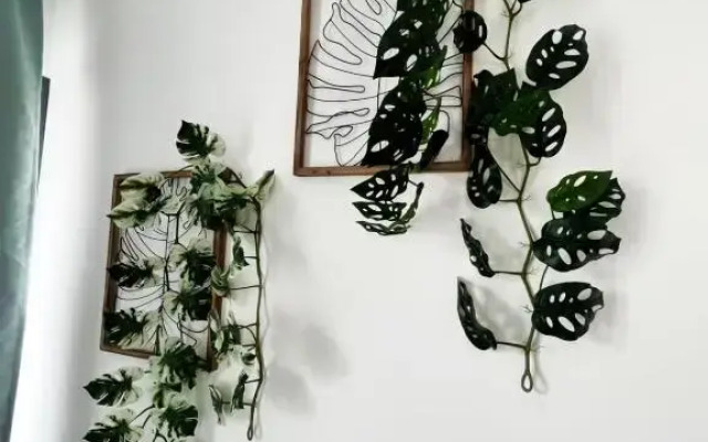 3B-Lovely 2 Bedroom Apartment, great location in SDQ