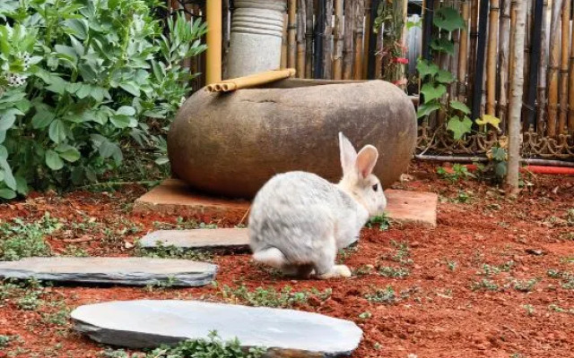 Yihuaxuanting Homestay (Kunming Dianchi Haitang Dam)