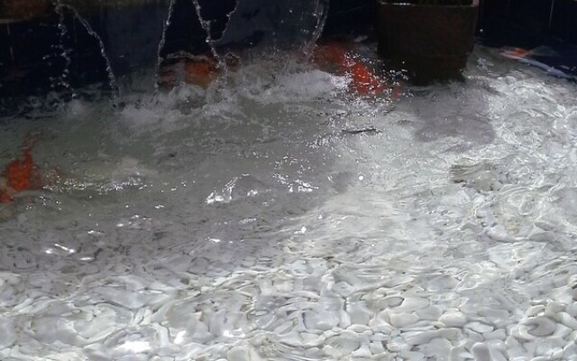 Suites em Meio a Mata Atlantica