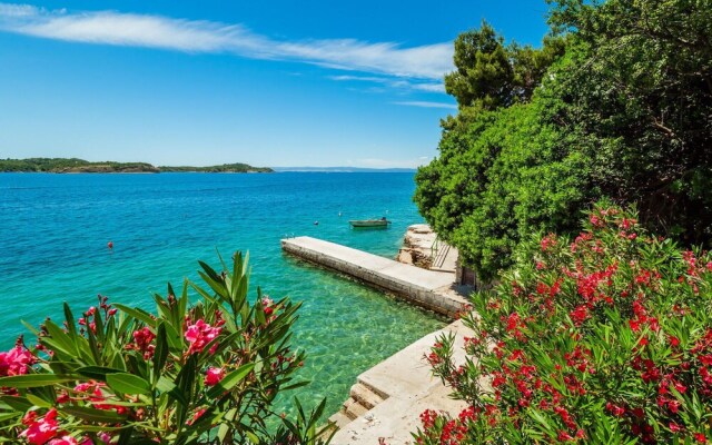 Beautiful Apartment in Supetarska Draga With Wifi and 1 Bedrooms