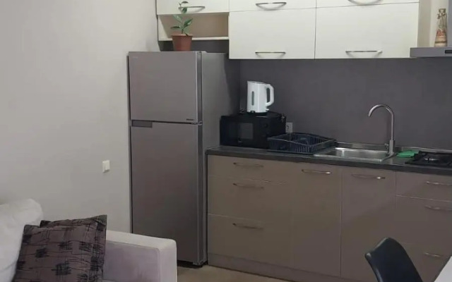 Apartment on Rustaveli