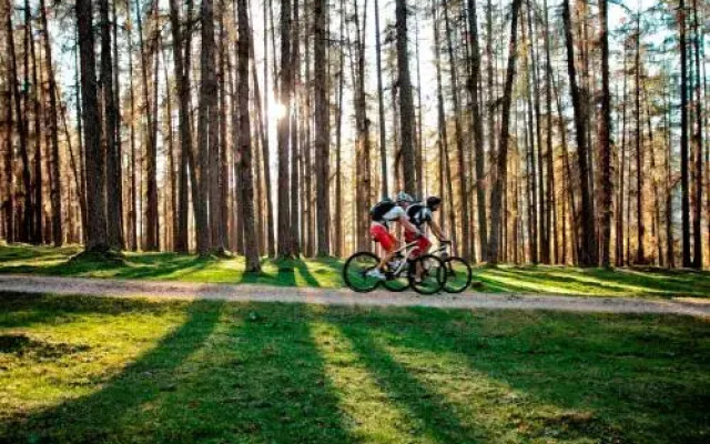 Mellow Mountain Hostel