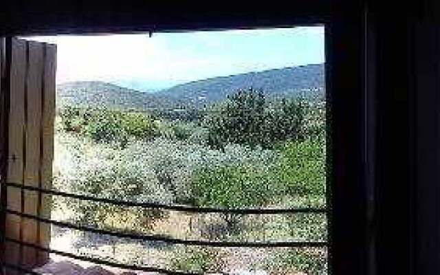 Villa Thea Studios & Apartments