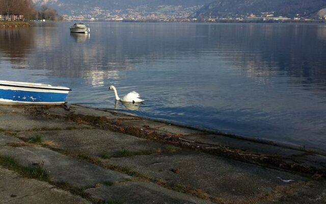 Bed & Breakfast Ai Due Vecchi Ulivi