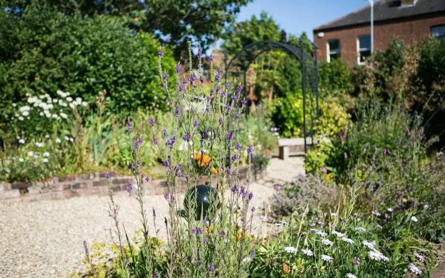 Luxury Architect Designed House