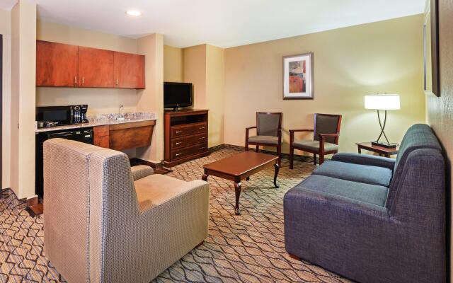 Holiday Inn Express Hotel & Suites Houston-Downtown Conv Ctr, an IHG Hotel