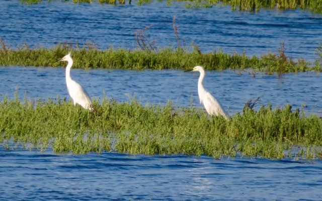 Playa Encanto Scenic Gem Ocean Front Home