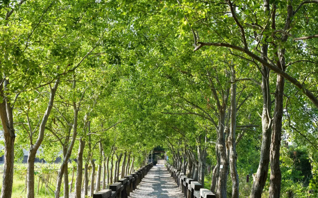 Together Happiness Bed and Breakfast