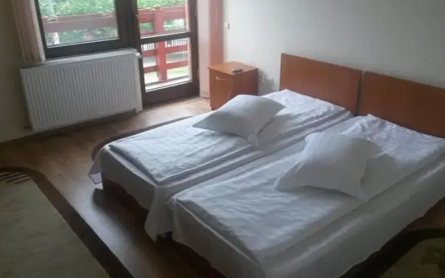 Pensiunea Adi Sapinta