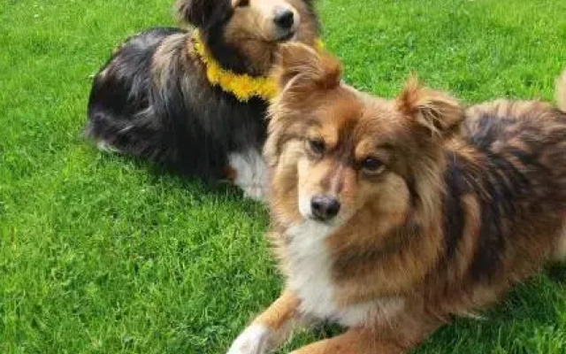 Penzion Amalka Dobříkov