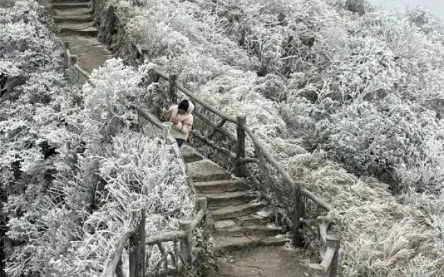 Mangshanyuan Homestay