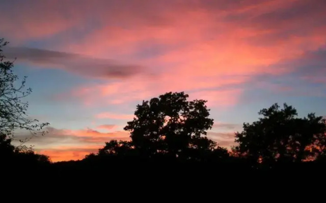 The Shepherds Return