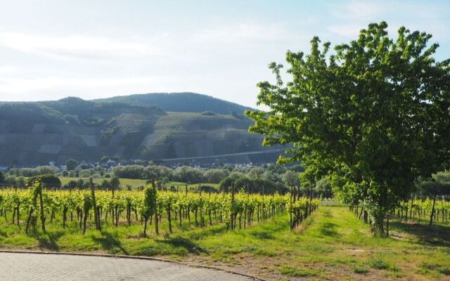 Weingut & Gästehaus Andreas Erz