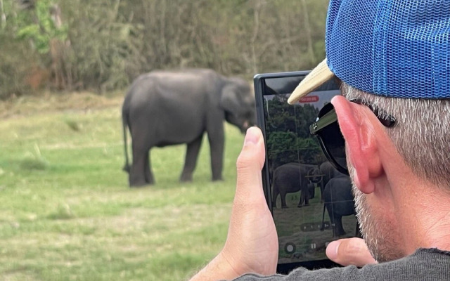 Sigiri Serenity Hostel