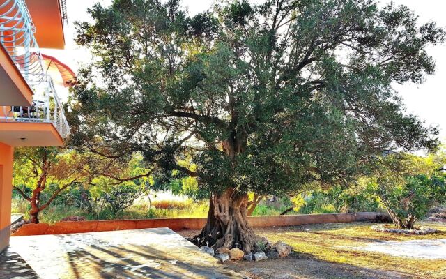 Beautiful view two bedroom apartment