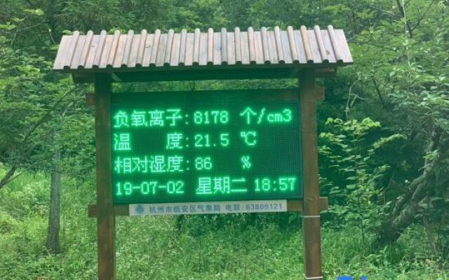 Tianmushan Old Lady Villa