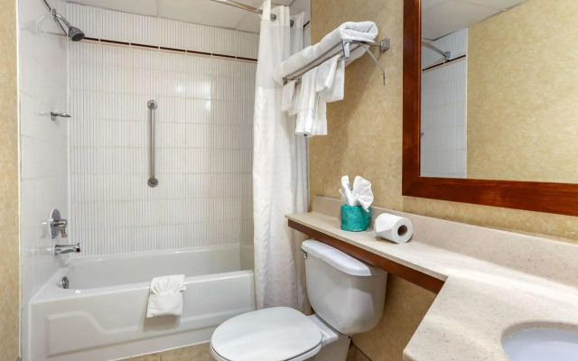 Comfort Suites Oakbrook Terrace near Oakbrook Center