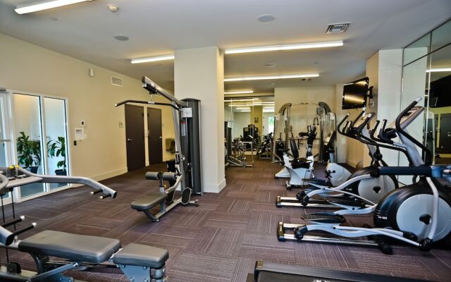 Nuovo Miami Apartments at Brickell - Downtown