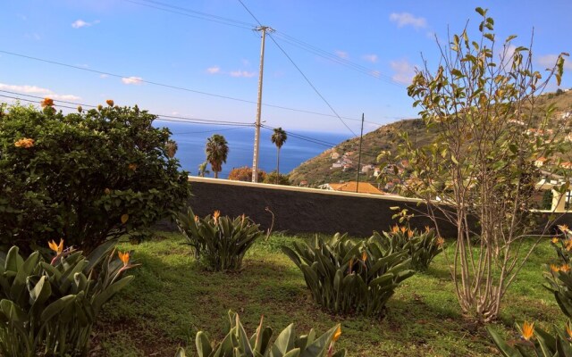 The Sun Palms House