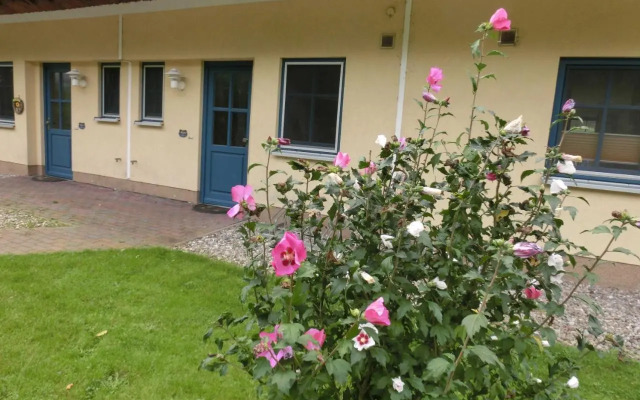 Reetdachhaus Malve 3 Im Feriendorf Puddeminer Wiek
