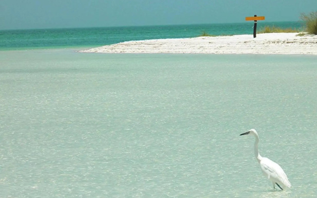 Casa Punta Coco & Beach Club