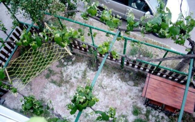 Sunny Home Hotel city center Sameba