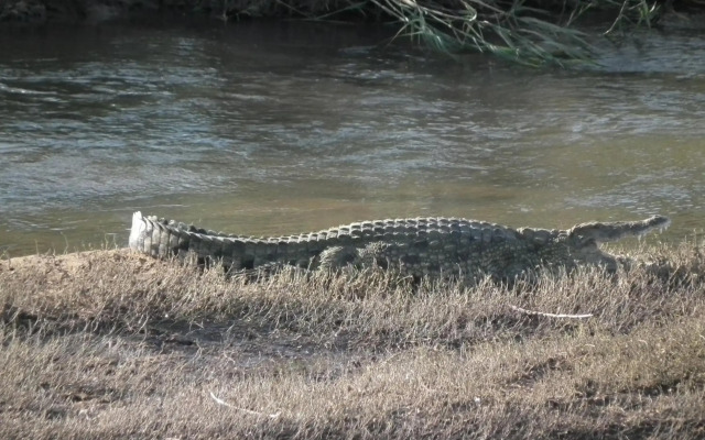 Rio Vista Lodge