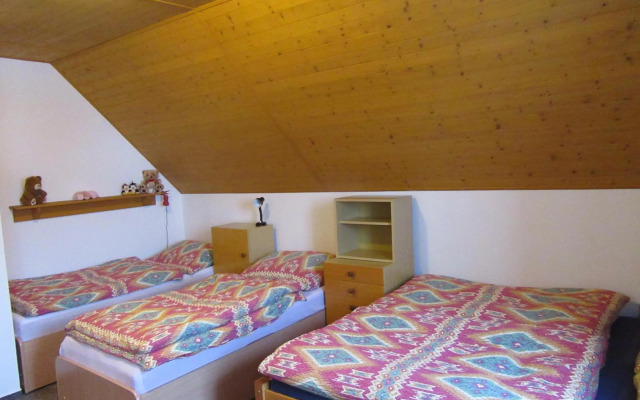 Apartment Dvořáků