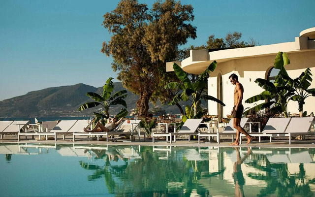 Domes Aulus Zante, Autograph Collection