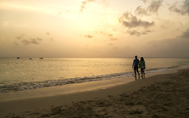 Beach View