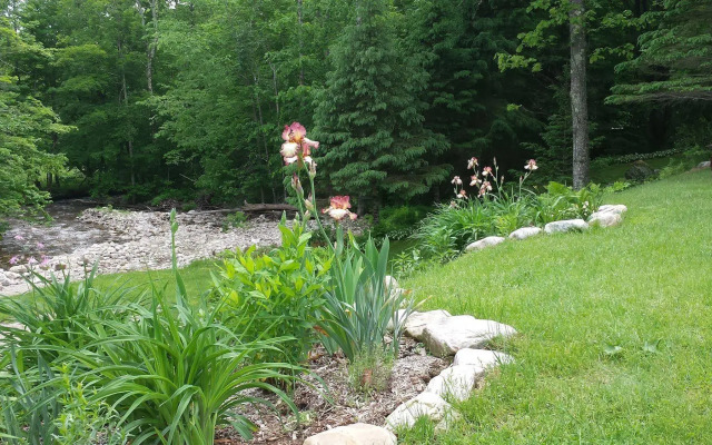Toll Road Inn