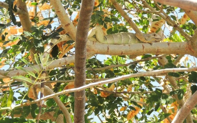 Portoazul Casa de Playa