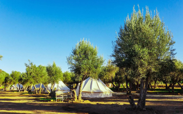 Guadalupe Valle Glamping