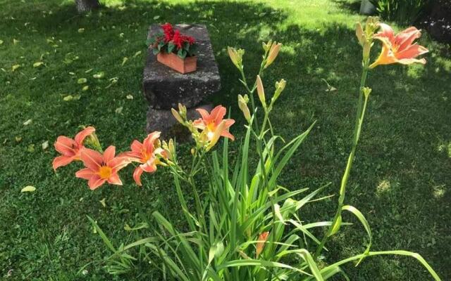 Gîte de la Mésange