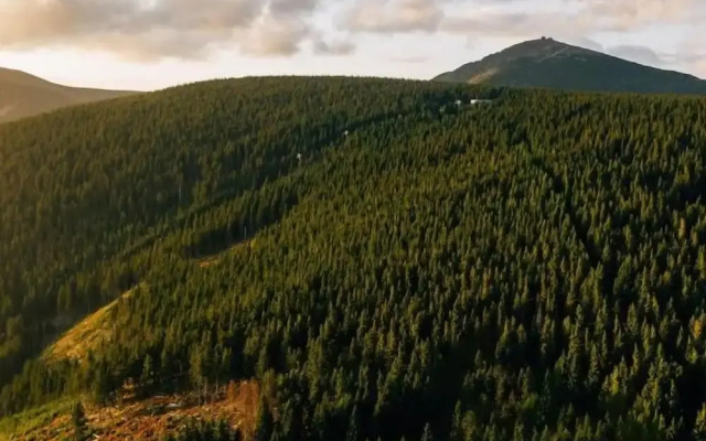 Hotel Bergwirtschaft Bieleboh