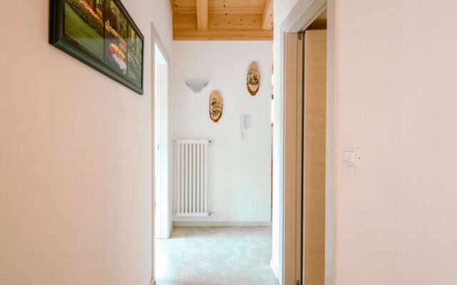 Chiara - Ciampedie (PFS236)