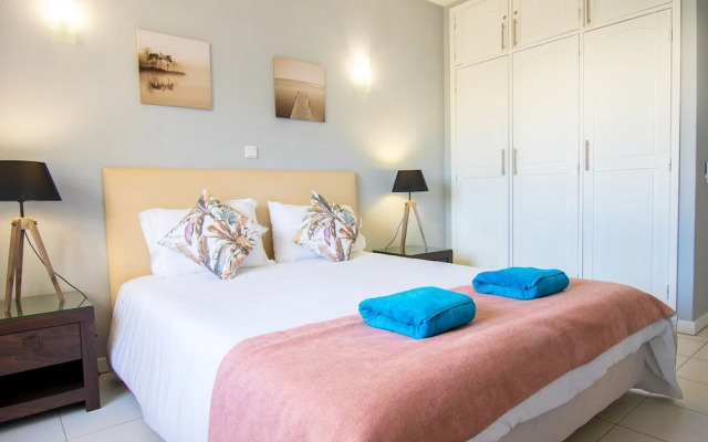 99B Hibiscus Monte Dourado