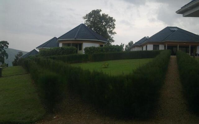 The Crested Crane Bwindi
