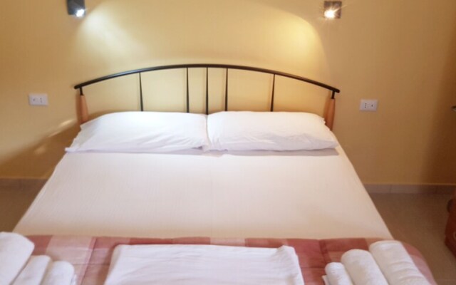 Home-holidays Sea-life