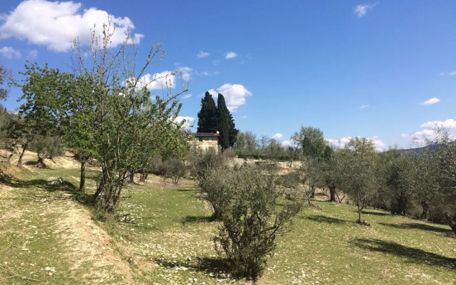 Piccolo Campagna