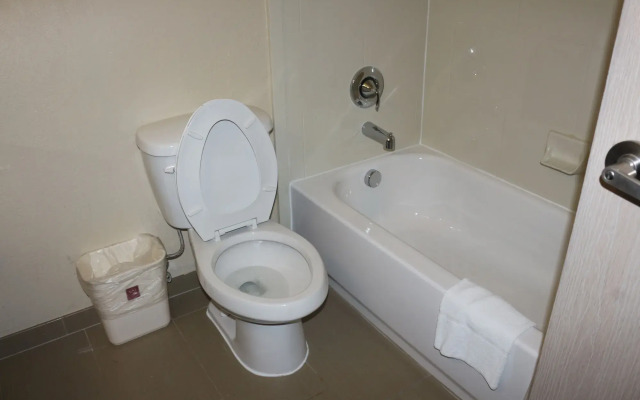 Comfort Suites - New Braunfels